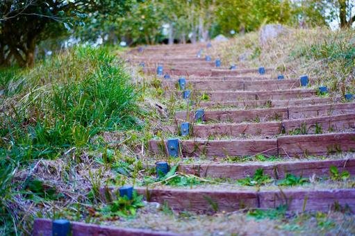 🏞️ 미야즈 해변 공원 (미야즈카이유코엔) 이미지 6